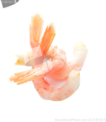 Image of shrimps