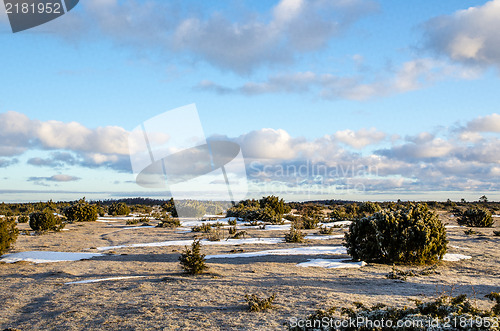 Image of Springtime morning