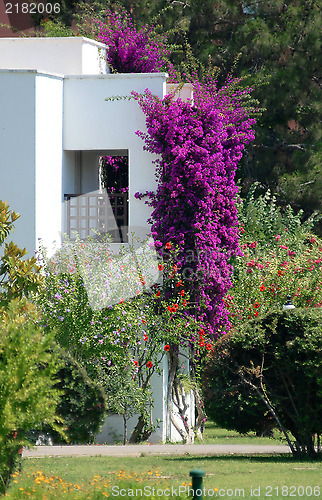 Image of villa and flowers