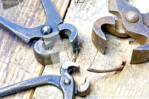 Image of old rusty pliers with nail
