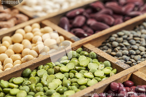 Image of legume abstract