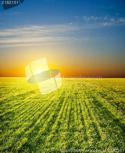 Image of sunset over field with green grass