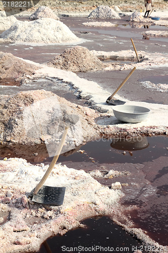 Image of salt mining in India