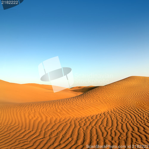 Image of evening desert landscape