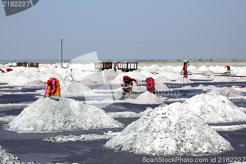 Image of salt mining in India