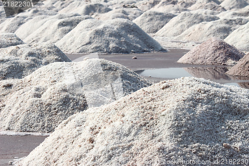 Image of salt mining in India