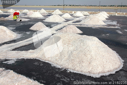 Image of salt mining in India