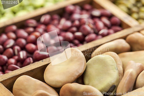 Image of fava (broad) beans