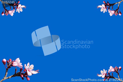 Image of Spring blooming frame or postcard against blue sky