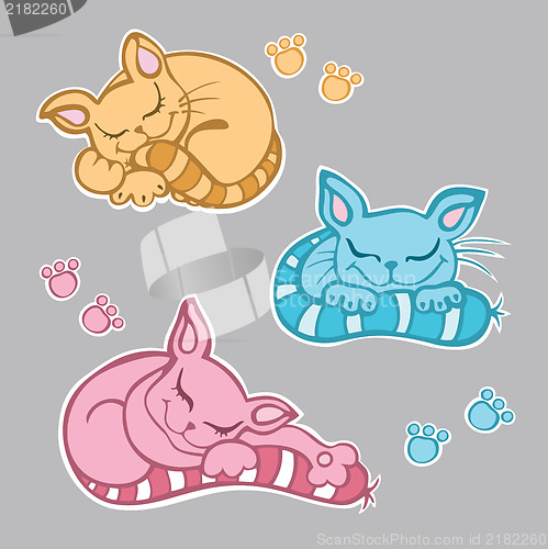 Image of Cute kittens sleeping