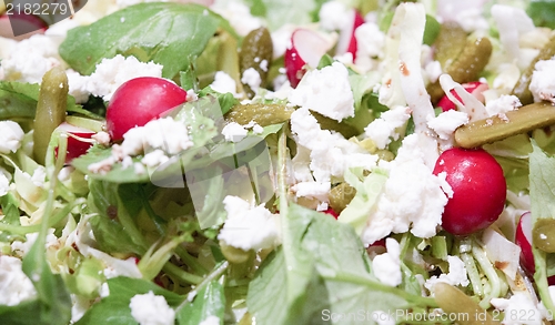 Image of Mixed Salad