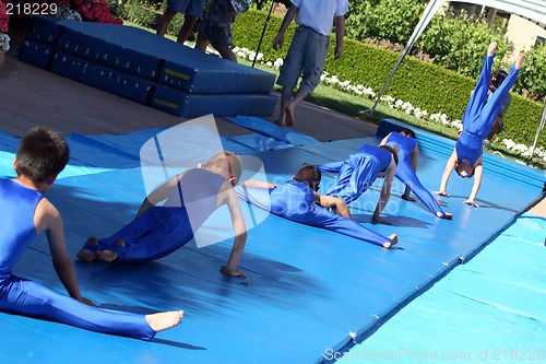 Image of Little gymnasts