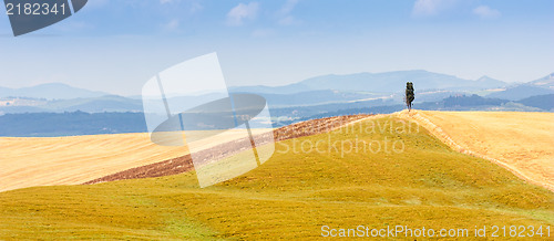 Image of Country in Tuscany