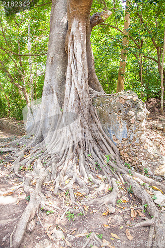 Image of Gede Ruins