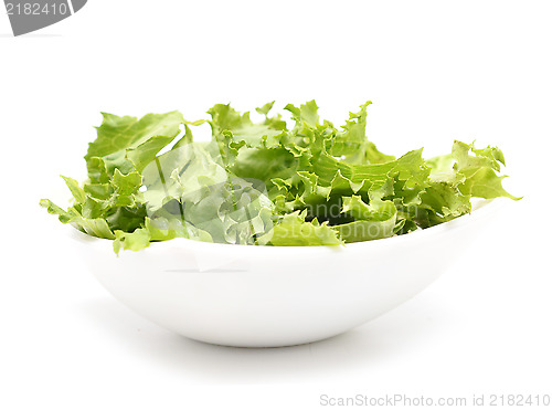 Image of lettuce