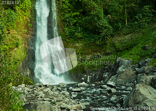Image of Waterfall in green forest with stones on front