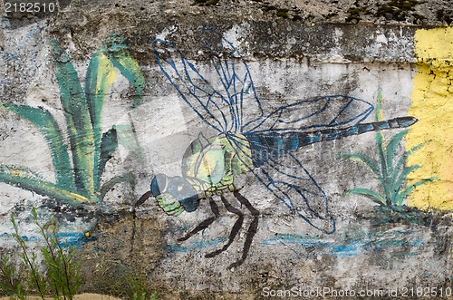 Image of colorful damselfly dragon-fly painted grunge wall 