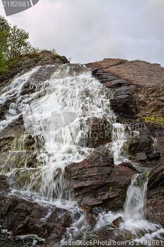 Image of Wild Water