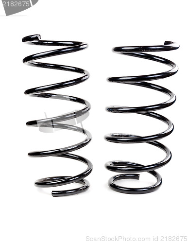 Image of Pair of car spring