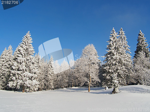 Image of Jura Mountain in Winter, mont d or area