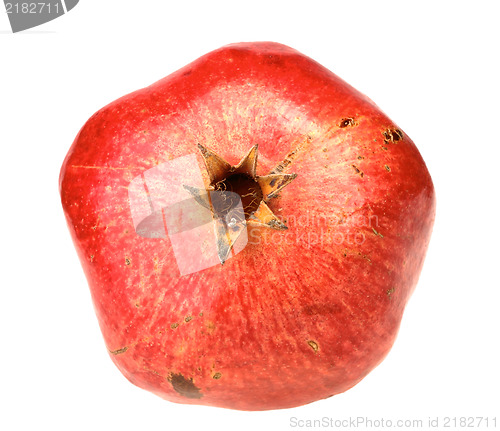 Image of One fresh red pomegranate