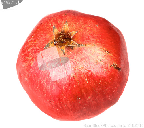 Image of Single fresh red pomegranate