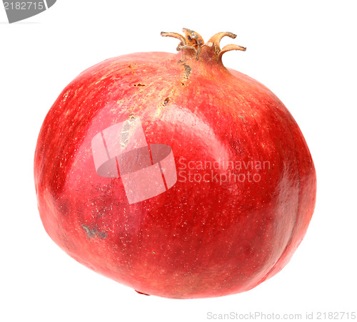 Image of Full fresh red pomegranate