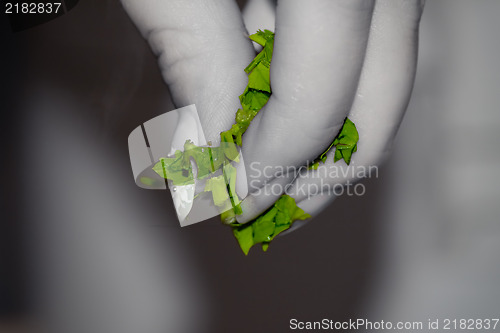 Image of Adding spices