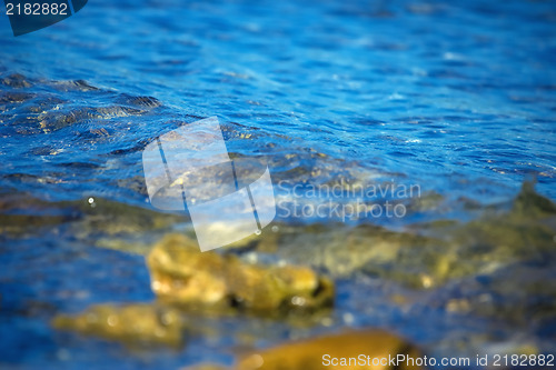 Image of Water