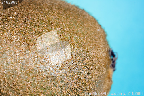 Image of Kiwi