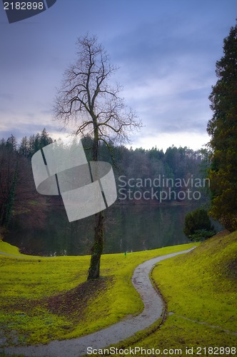 Image of Evening Park