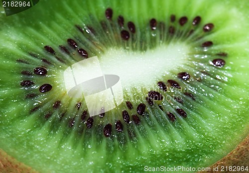 Image of Kiwi