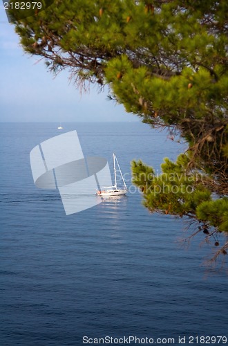 Image of Sail boat