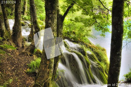 Image of Waterfall