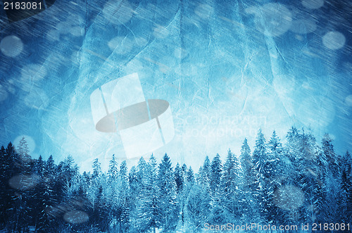 Image of Winter collage