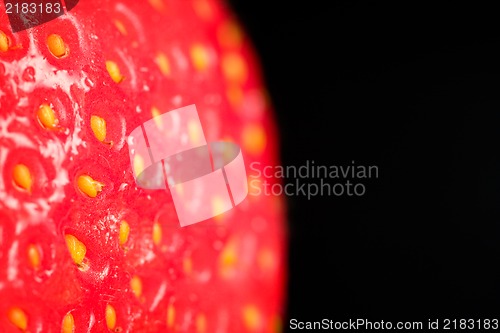Image of Strawberry macro with text space