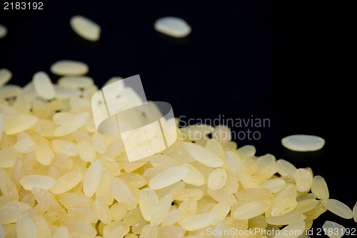 Image of Rice studio isolated on black background