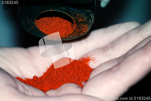 Image of Close up of dry pepper spice on palm