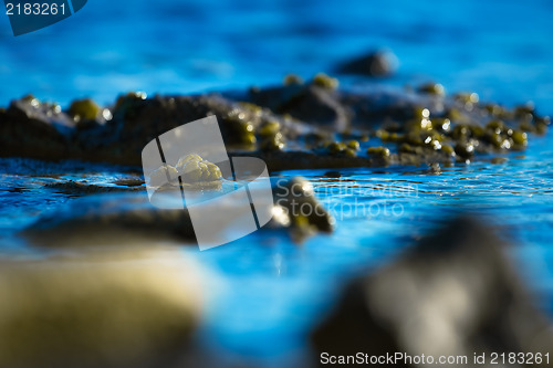 Image of Water