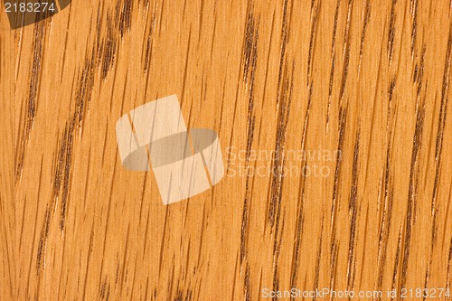 Image of Wood Texture close up