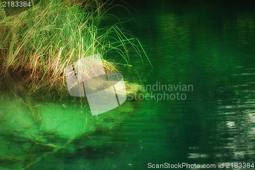 Image of Nature background - Landscape of a beautiful lake