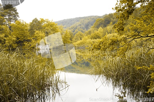 Image of Landscape of a beautiful lake in autumn