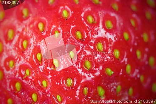 Image of Strawberry macro