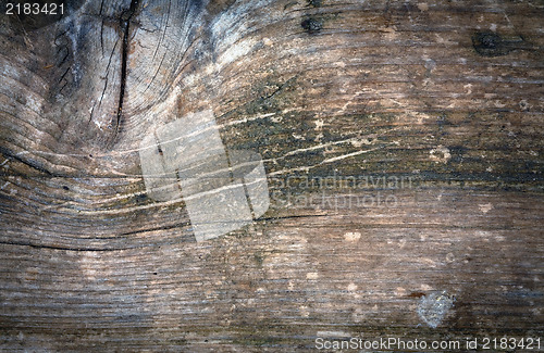 Image of Grunge weathered wooden texture close up photo