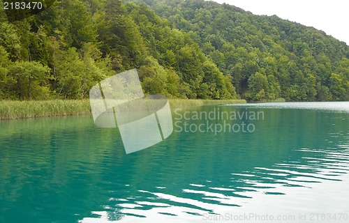 Image of Landscape of a beautiful green lake in the morning