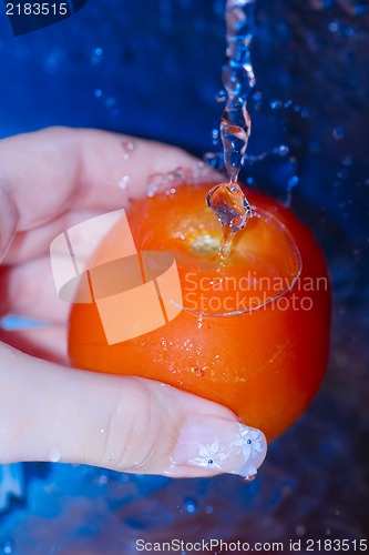 Image of Washing fresh red tomato under water tap....