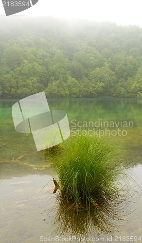 Image of Landscape of a beautiful lake on a foggy day