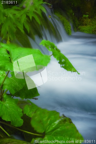 Image of Beautiful waterfalls at Plitvice Lakes National Park