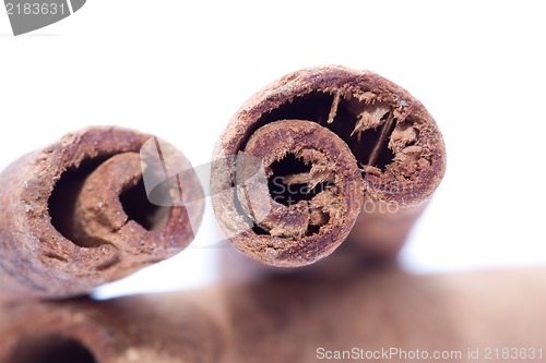 Image of Cinnamon sticks macro , studio isolated background