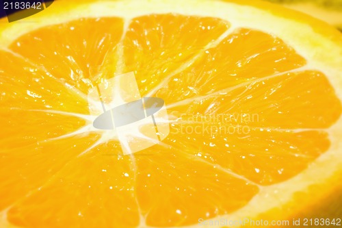 Image of Close up of a nice fresh juicy orange.